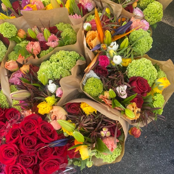 Meet your Posher, Patty - Picture 4 of 4